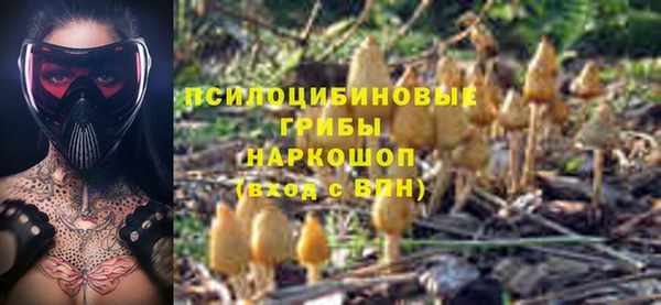 дурь Абинск